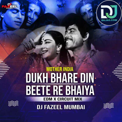 Dukh Bhare Din (Circuit Mix)