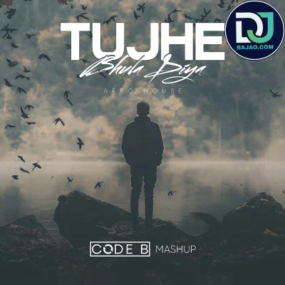 Tujhe Bhula Diya (Afro House)