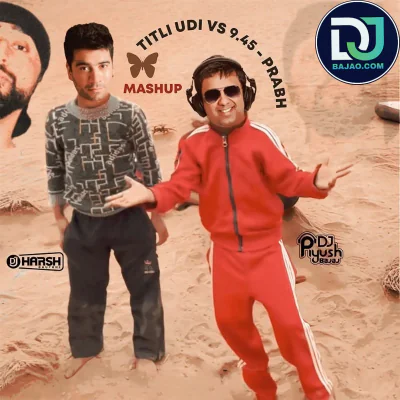 Titli Udi (Remix)